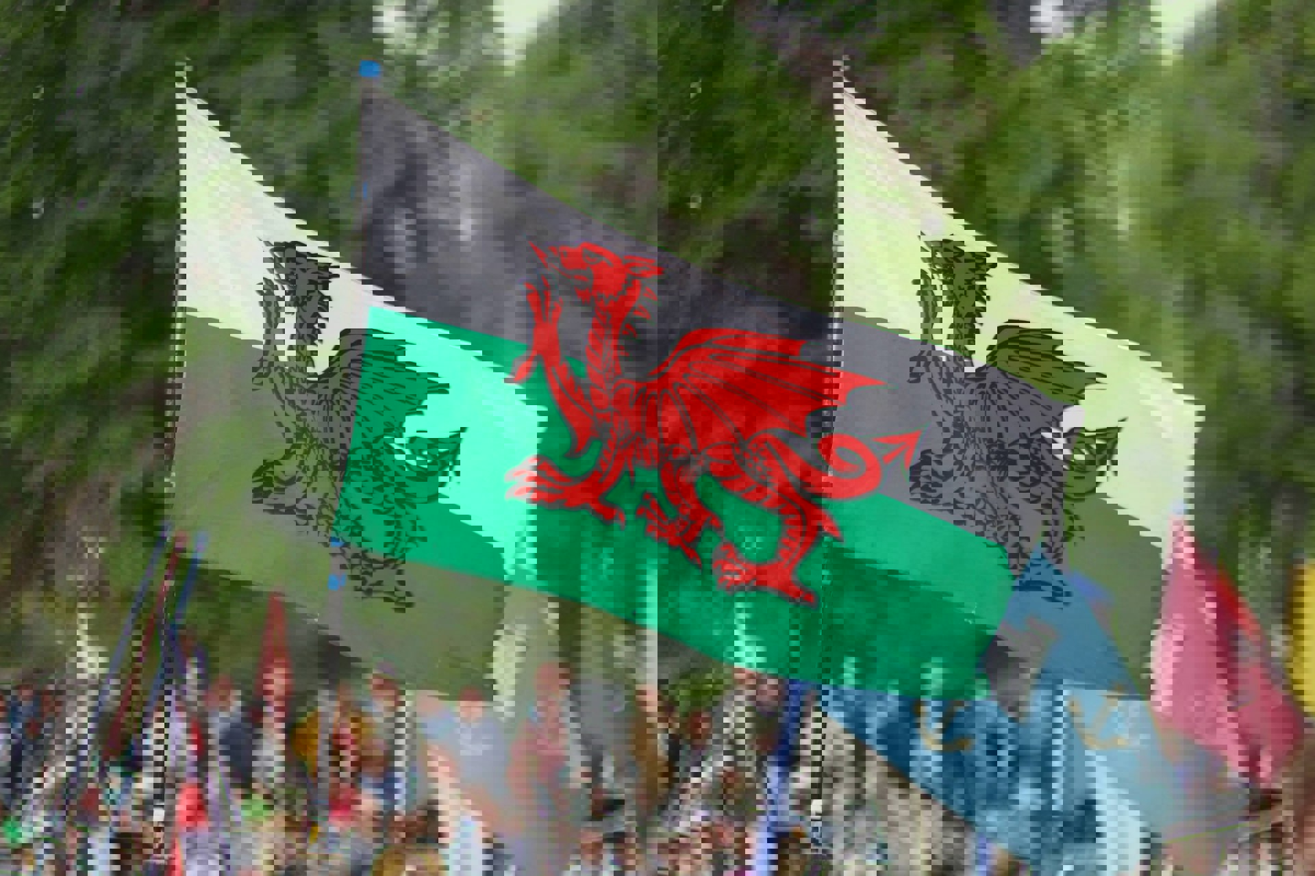 New campaign to find informal Welsh words used by young people